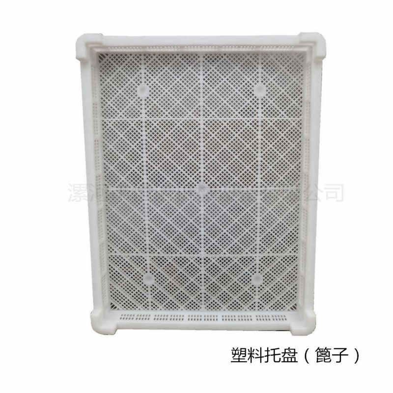 塑料托盤 塑料托盤